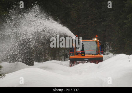 Neve macchina fresatrice a lavori di pulizia di una strada forestale Foto Stock