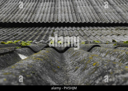 Vecchio e ricoperti di muschio verde tetto ondulate ardesie copre il fienile Foto Stock