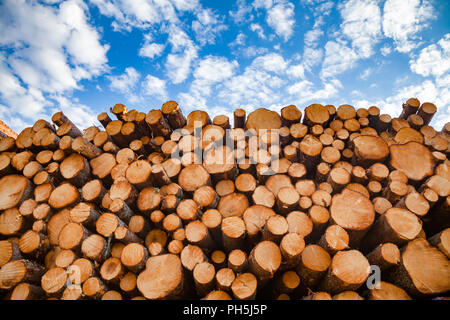 Impilate i registri di legno contro il cielo blu - Legname Legname o il concetto di settore Foto Stock