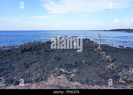 Vista di nera lava rock e blu oceano all'Ahihi-Kinau Area Naturale riserva, sulla sponda occidentale di Maui Sud di Wailea e Makena, Hawaii Foto Stock