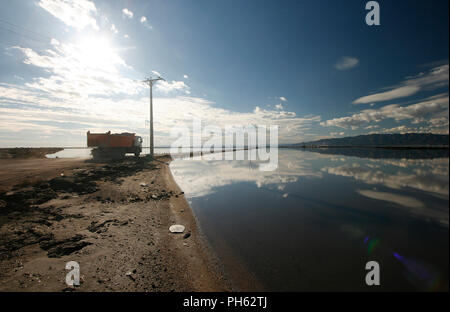 Delta del Ebro, parco naturale. Tarragona. Spagna Foto Stock