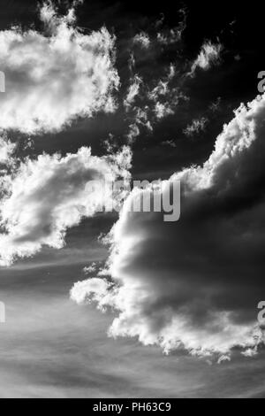 Bianco & Nero vista puffy white cumulus nuvole contro un chiaro blu centrali cielo Colorado; USA Foto Stock