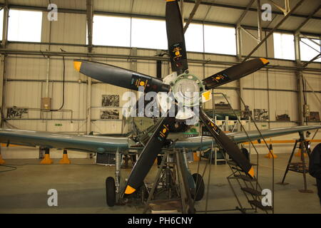 Il grifone propulsori Spitfire Foto Stock