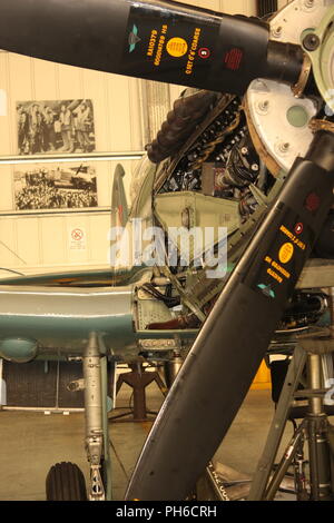 Il grifone in un motore Mk 19 Spitfire Foto Stock