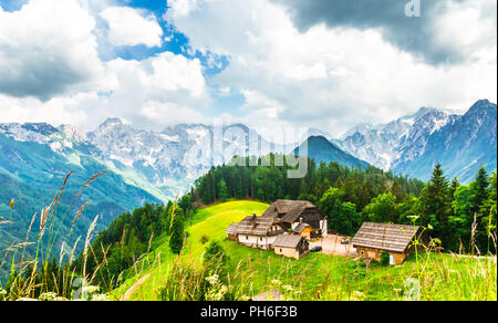 Vista sulla fattoria in sloveno, Alpi dalla Valle di Logar Foto Stock