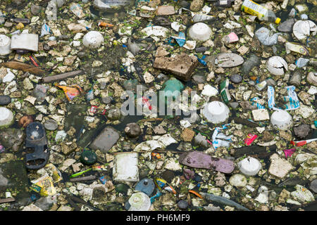 Sacchetti di plastica, bottiglie, polistirene e altri rifiuti contamina l'acqua della laguna in Pushkar, India Foto Stock