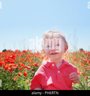 Little baby boy in posa sui campi di papavero Foto Stock