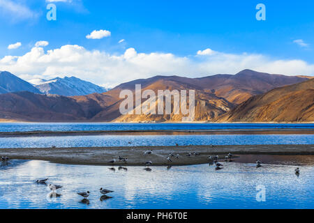 Lago Pangong al mattino Foto Stock