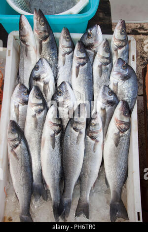 Orate di mare, mercato del pesce, porto di pescatori, Bari, Puglia, Italia, Europa Foto Stock