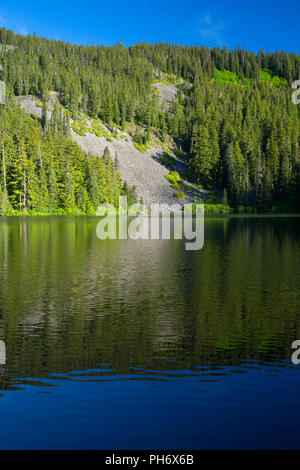 Shellrock lago, fiume ruggenti deserto, Mt Hood National Forest, Oregon Foto Stock