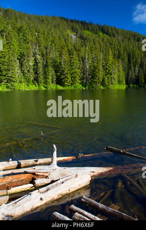 Shellrock lago, fiume ruggenti deserto, Mt Hood National Forest, Oregon Foto Stock