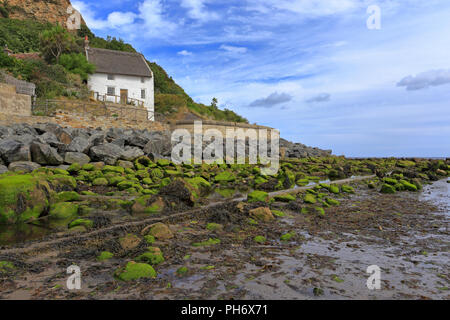 Dipinto di bianco cottage con il tetto di paglia, Runswick Bay, North Yorkshire, Inghilterra, Regno Unito. Foto Stock