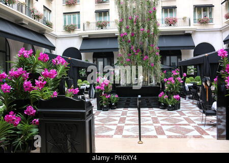 Hotel Courtyard a Parigi, vanda orchid display Foto Stock