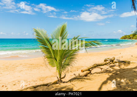 Una tipica vista in Punta uva in Costa Rica Foto Stock