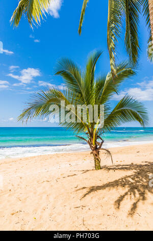 Una tipica vista in Punta uva in Costa Rica Foto Stock