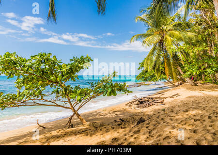 Una tipica vista in Punta uva in Costa Rica Foto Stock