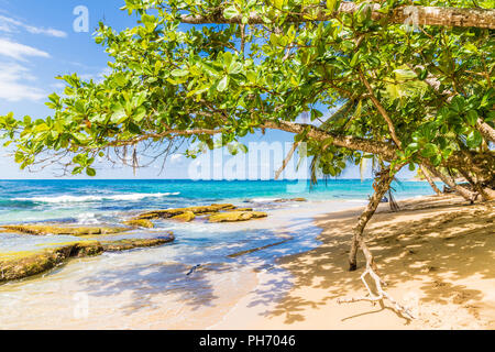 Una tipica vista in Punta uva in Costa Rica Foto Stock