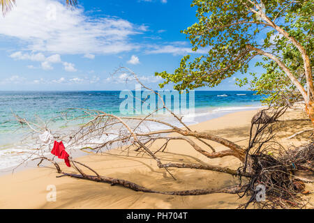 Una tipica vista in Punta uva in Costa Rica Foto Stock