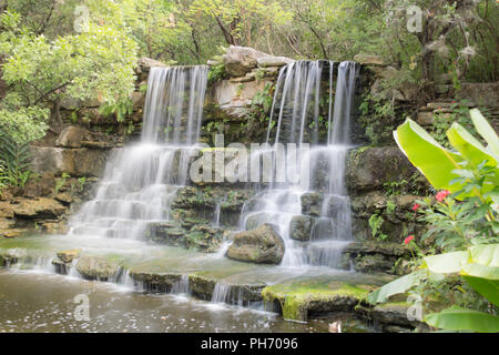 Una bella cascata in Zilker Giardini Botanici sulle rive del Lago Lady Bird vicino al centro cittadino di Austin, Texas Foto Stock