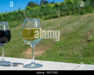 Un bicchiere di vino bianco seduti sulla parete esterna nella parte anteriore della piantagione di cantina Foto Stock