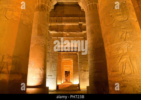 Colonna nel tempio di sobek Foto Stock