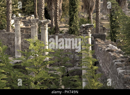 Kos, Grecia Foto Stock