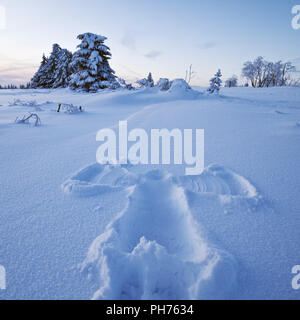 Angelo di neve in inverno il paesaggio, in Germania, in Renania settentrionale-Vestfalia, Sauerland, Winterberg Foto Stock