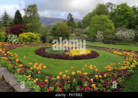 Fiori di Primavera nella speranza Park, Keswick Town, Parco Nazionale del Distretto dei Laghi, Cumbria County, England, Regno Unito Foto Stock
