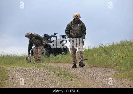 I membri del servizio con un militare straniero l'eliminazione degli ordigni esplosivi (EOD) team di eseguire la scansione di un pendio Giugno 26, 2018 sul tasso di caduta sulla zona sud di Post come parte della formazione in esercizio audace Warrior 2018 a Fort McCoy, Wis. quasi 60 aviatori di Guardia Nazionale unità in dieci Stati membri nonché di squadre di servizio internazionale i membri che fanno parte dell'eliminazione degli ordigni esplosivi squadre allenate a Fort McCoy per dodici giorni alla fine di giugno ai primi di Luglio come parte dell'esercizio. Anche la formazione ha avuto luogo nel campo Volk, Wis. durante il training e l'EOD personale scenari completati in convoglio operazioni, popolato Foto Stock