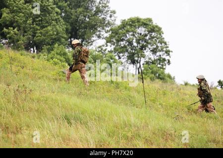 I membri del servizio con un militare straniero l'eliminazione degli ordigni esplosivi (EOD) team di eseguire la scansione di un pendio Giugno 26, 2018 sul tasso di caduta sulla zona sud di Post come parte della formazione in esercizio audace Warrior 2018 a Fort McCoy, Wis. quasi 60 aviatori di Guardia Nazionale unità in dieci Stati membri nonché di squadre di servizio internazionale i membri che fanno parte dell'eliminazione degli ordigni esplosivi squadre allenate a Fort McCoy per dodici giorni alla fine di giugno ai primi di Luglio come parte dell'esercizio. Anche la formazione ha avuto luogo nel campo Volk, Wis. durante il training e l'EOD personale scenari completati in convoglio operazioni, popolato Foto Stock