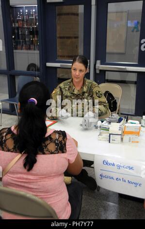 Il cap. Amy Walton, un medico infermiere chirurgico, completa un livello di glucosio nel sangue di screening per i residenti locali in attesa di servizi medici a Betty Harwell Middle School di Edinburg, Texas. Circa 50 Stati Uniti Esercito di soldati di riserva assegnata al medico 7235th Unità di supporto fuori di Orlando, Texas, ha lavorato in partnership con Texas A&M programma Colonias Giugno 16-27 per fornire cure mediche di Hidalgo County's meno servite la popolazione di colonia. I servizi forniti da personale militare sono eseguite tramite il Dipartimento della difesa innovativi della disponibilità di formazione, un militare e civile Programma che costruisce reciprocamente Foto Stock