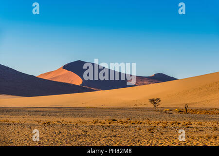 Paesaggio in Sossusvlei, Namib Desert, Namib Naukluft Park, regione di Hardap, Namibia Foto Stock