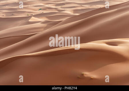 Le dune di sabbia, Erg Chebbi, Merzouga, deserto del Sahara, Marocco Foto Stock