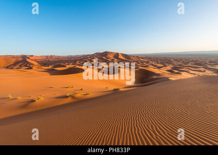 Dune di sabbia rossa nel deserto, paesaggio di dune Erg Chebbi, Merzouga, Sahara, Marocco Foto Stock