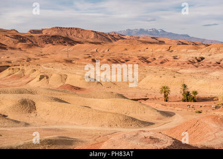 Unico palme nel deserto di Ait Benhaddou, Alto Atlante, provincia di Ouarzazate, Souss-Massa-Draâ, Marocco Foto Stock