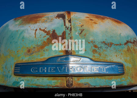 Auto d'epoca, dettaglio rusty cofano del motore di un 1951 Chevrolet 3100 Pick Up, solitario, Hardap distretto, Namibia Foto Stock