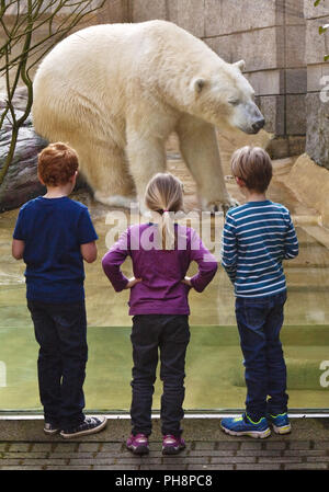 Tre childreen nella parte anteriore di un orso polare Wuppertal Foto Stock