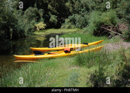 Canoe sulla riva Foto Stock