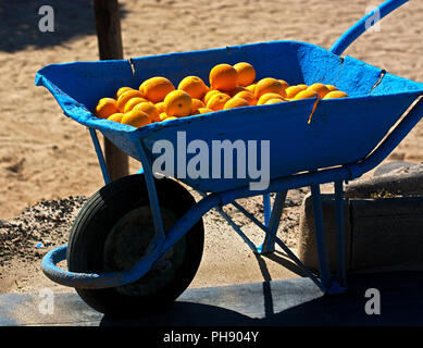 Frutti a Lanzarote Foto Stock