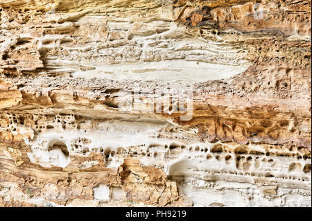 Arenaria erosa in Cattedrale Gorge Foto Stock