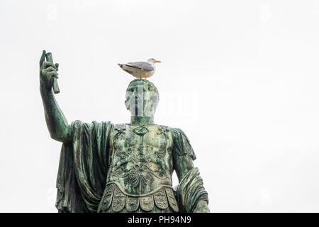Seagull sulla statua di imperatore romano Nerva, o Marcus Cocceius Nerva Caesar Augustus, in Via dei Fori Imperiali street Foto Stock