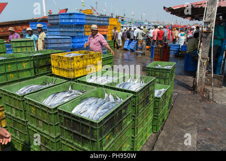 Mumbai, India - 8 Luglio 2018 - fornitori sul mercato del pesce di scarico e vendita di pesce fresco proveniente dal mare Foto Stock