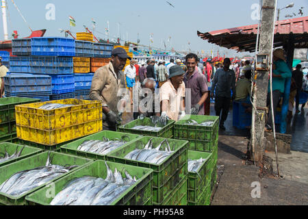 Mumbai, India - 8 Luglio 2018 - fornitori sul mercato del pesce di scarico e vendita di pesce fresco proveniente dal mare Foto Stock