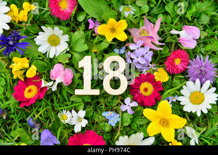 18 numero di compleanno sul prato di fiori Foto Stock