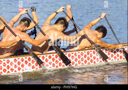 Sforzo durante una gara di canoa Foto Stock