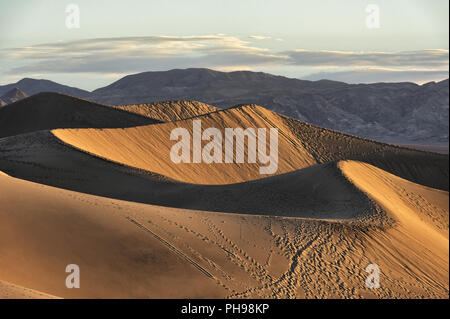 La mattina presto la luce del sole sul piatto Mesquite dune di sabbia Foto Stock