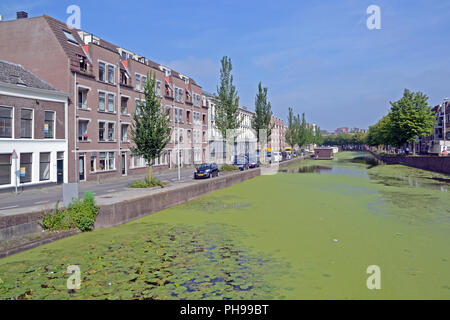 Gouda vista città Foto Stock