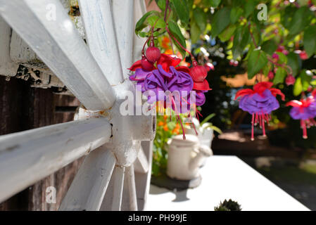 Garden cottage in estate con molti fiori Foto Stock