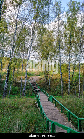 Percorso di legno tra insiemi di strutture Foto Stock