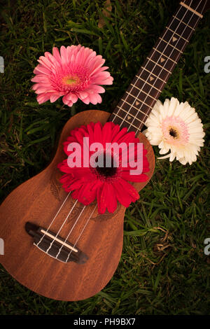 Bellissimo piccolo hawaiian soprano ukulele decorate con freschi gerbera fiori ed erba backgroud, foto fatte in condizioni di luce diurna con nessuna delle luci artificiali Foto Stock